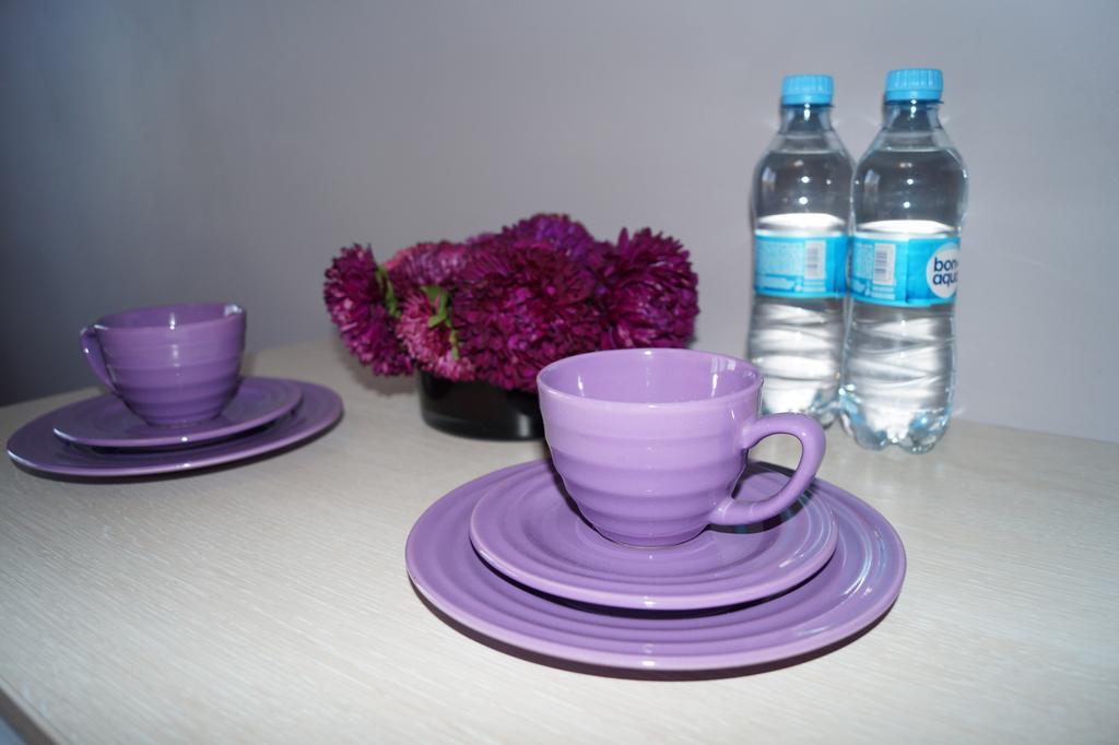 Sverdlovsk Hotel Dnipro Oda fotoğraf